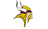 Minnesota Vikings